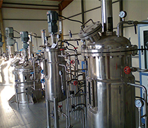 蓬莱华夏长盛葡萄酒